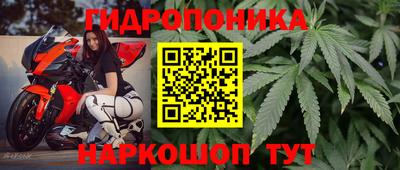 ГАЛЛЮЦИНОГЕННЫЕ ГРИБЫ Рязань
