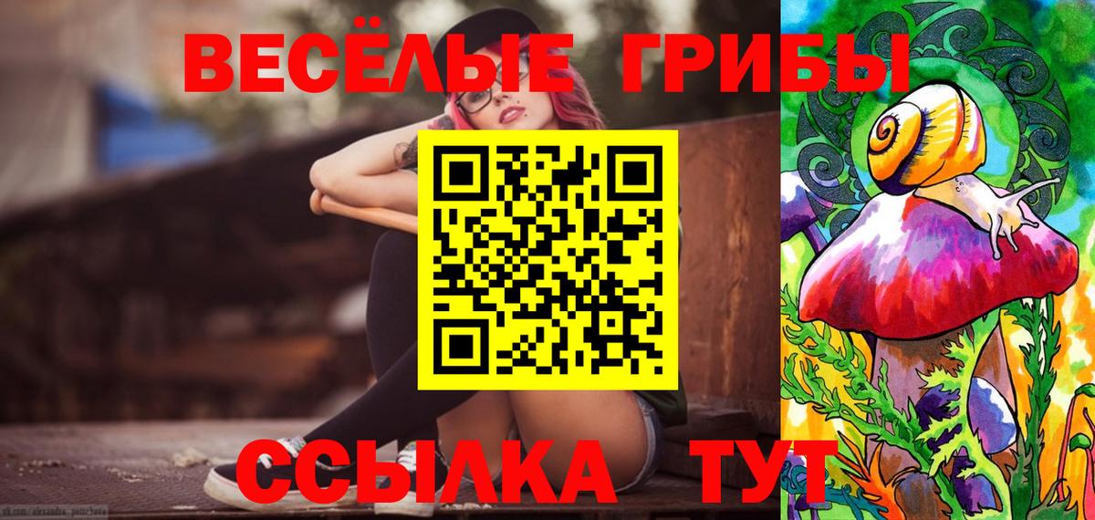 Галлюциногенные грибы Psilocybe  Вход с VPN  Полевской  Галлюциногенные грибы Magic Shrooms 
